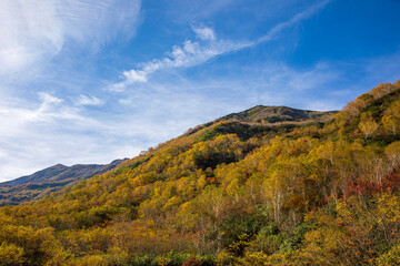 Fototapeta premium autumn in the mountains