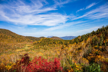 autumn in the mountains