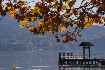 Wunderbarer Goldener Herbst in Pörtschach am Wörthersee