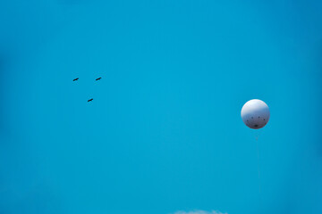 white balloons floating in the sky with birds flying