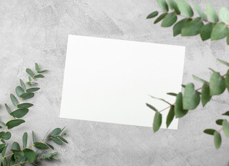 Blank white sheet of paper on a concrete background with eucalyptus leaves. Top view, flat lay, mock up