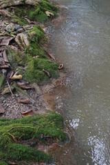 Streams are a type of water source. 