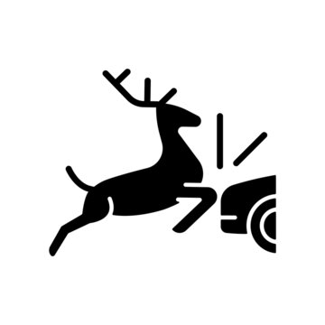Collision with animals black glyph icon. Colliding with wildlife and livestock in roadway. Situation with animals near highways. Silhouette symbol on white space. Vector isolated illustration