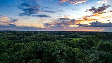 Picturesque panoramic aerial landscape of s golden autumn forest. Mighty trees, soft sunlight. Nature, ecology. ecotourism, hiking, environmental conservation. High quality photo