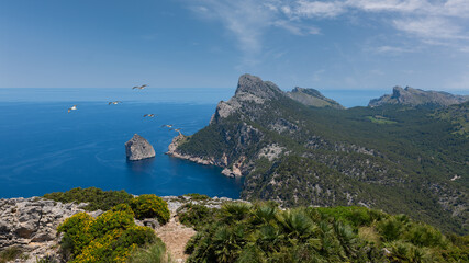 The rugged cliffs of the Formentor peninsula in the east of the Mediterranean island of Mallorca seen from the highest point. Seagulls fly through the air and there are beautiful clouds in the sky.