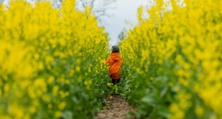 Little kid have a fun in rapeseed filed in country