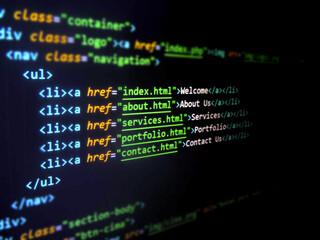 Software source code. Programming code on computer screen. Developer working on programming codes....