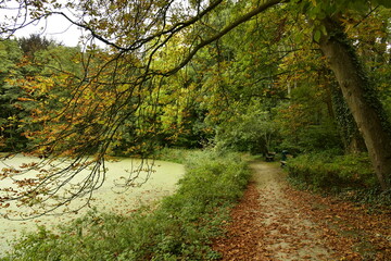 Chemin avec coins de repos longeant l'un des étangs du parc Parmentier à Woluwe-St-Pierre