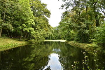 Fototapeta na wymiar Reflet de la forêt dans l'un des étangs du parc Parmentier à Woluwe-St-Pierre 