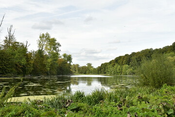 L'étang du parc du domaine de Val Duchesse en plein bois au début de l'automne à Auderghem