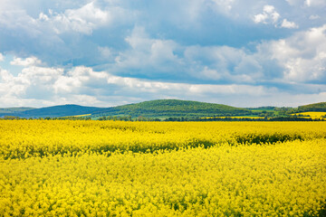 View on Sudetes mountains in spring time, South Poland