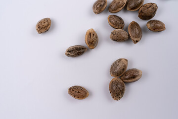 Some hemp seeds spread out on white background seen from above