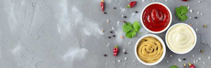 banner of Set of various sauces with spices on gray stone background. Mayonnaise ketchup mustard.