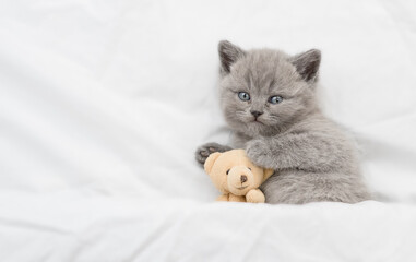 Playful kitten lying under warm white blanket on a bed at home and hugs favorite toy bear. Top down...