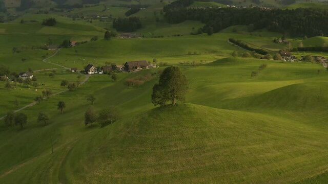 Drumlins in der Schweiz