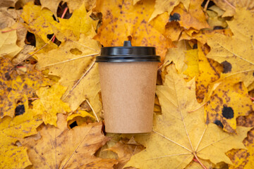 a paper cup of coffee among yellowed maple leaves