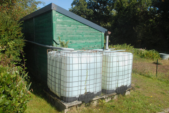 Récupérateurs d'eau de pluie adossés à des cabanes de jardin