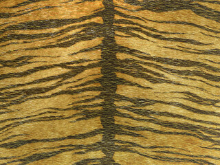 リアルな毛並み　虎柄の背景素材　シームレス非対応	