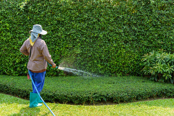 Gardeners watering plants in the garden
