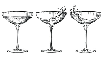 Sketch glass of champagne set on white background. Vintage drink illustration.