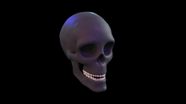 anamorphic skull, animation, transparent background