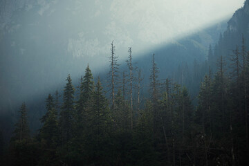 fog in the mountains © Sieku Photo