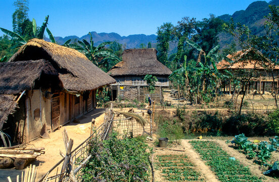 Eingescanntes Diapositiv einer historischen Farbaufnahme von Pfahlbauten in einem Dorf der ethnischen Minderheit der "Blumigen Hmong" in Nordvietnam im Tal des roten Flusses