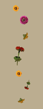 Creative arragement with varius spring flowers against pastel brige background. Minimal nature concept.
