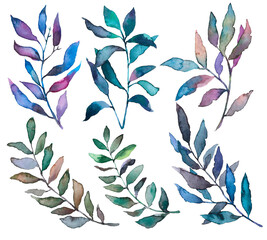 Set of hand-drawn watercolor leaves. Illustration of a branch with colorful leaves - 6 elements. Leaves on a white isolated background. Decorative leaves for wedding invitations and cards.
