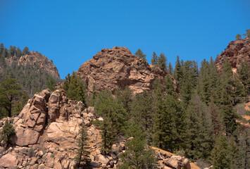 Fototapeta premium pine trees in the mountains in Seven Falls