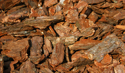 Fototapeta na wymiar Wooden chip bark pieces which have been shredded for using as soil in gardening. Garden mulch. Timber product. Rough textured background.