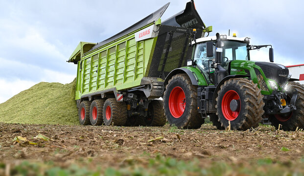 Abladen des geh&auml;ckselten Mais mit dem Traktor f&uuml;r die Biogasanlage.