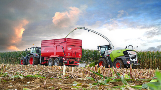 M&auml;hdrescher, H&auml;cksler und Traktor mit Anh&auml;nger bei der Mais Ernte am Maisfeld f&uuml;r die Biogasanlage.