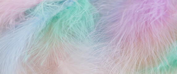 Feathers texture in pastel colors banner.Abstract blur soft style design background.