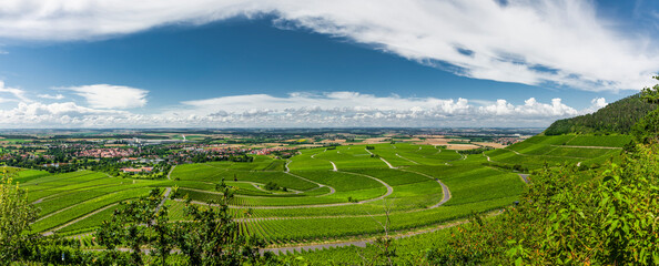 Weinberge im Fränkischen Weinland bei Iphofen