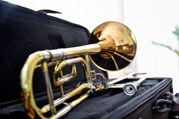 Trombone detail with transposer mounted and supported on suitcase front