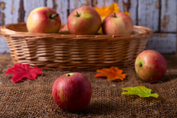 Ripe apples on burlap and in a basket. Rustic style, close-up.