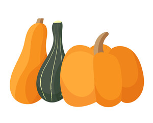 Set of pumpkins. Vector clipart isolated on white background.
