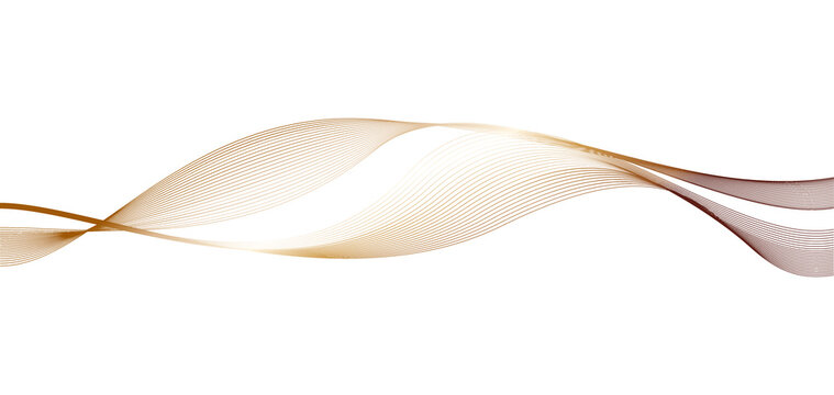 Abstract wave design element. Vector intricate gold lines texture. Blank background useful for business layout.