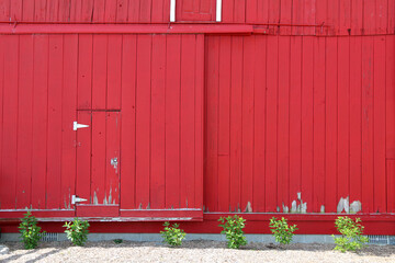 delightful bright red country farm barn wall and door with white trim and greenery