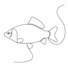 fish drawing by one continuous line, vector