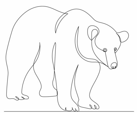 bear drawing by one continuous line, vector