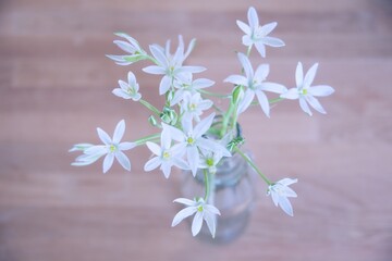 bouquet of flowers on wooden background, light colors