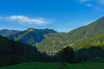 Obraz premium Mountains with green forests on a sunny summer morning, in the Romanian countryside neat Gura Sirului, Buzau, Transylvania, Romania 