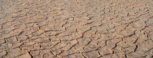 Cracked brown mud panorama, surface texture of barren land