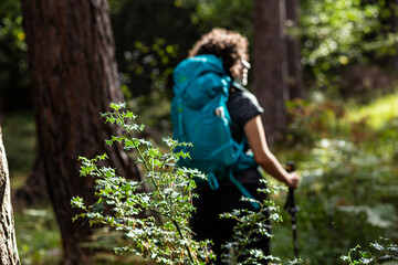 girl walking in the woods