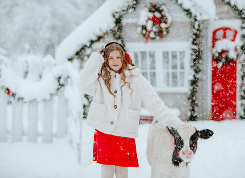 Beautiful teen girl in red and white winter clothes posing with small bull on a farm with Christmas decor. Snowing a lot. Holiday concept.