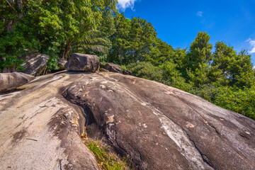 A stone on a wild beach on Ile Moyenne island in Saint-Anne Marine National Park in Seychelles on a sunny day