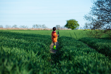 Preschooler kid have a fun on green wheat field in country
