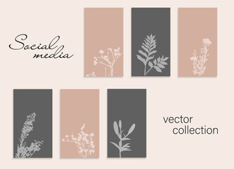 Social media template set with floral design elements. Social network or stories banners. Mockup. Editable post. 6 vertical templates for promotion, corporate style, branding, ads design. 